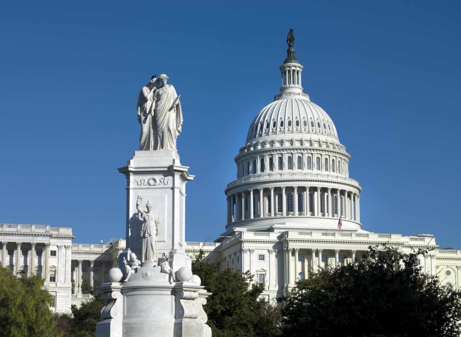 U.S. Capitol, Washington DC